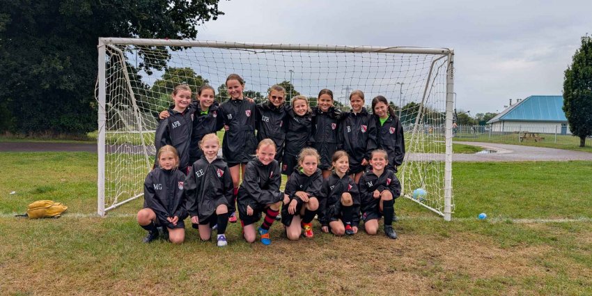 verwood-town-football-sponsor-alimax